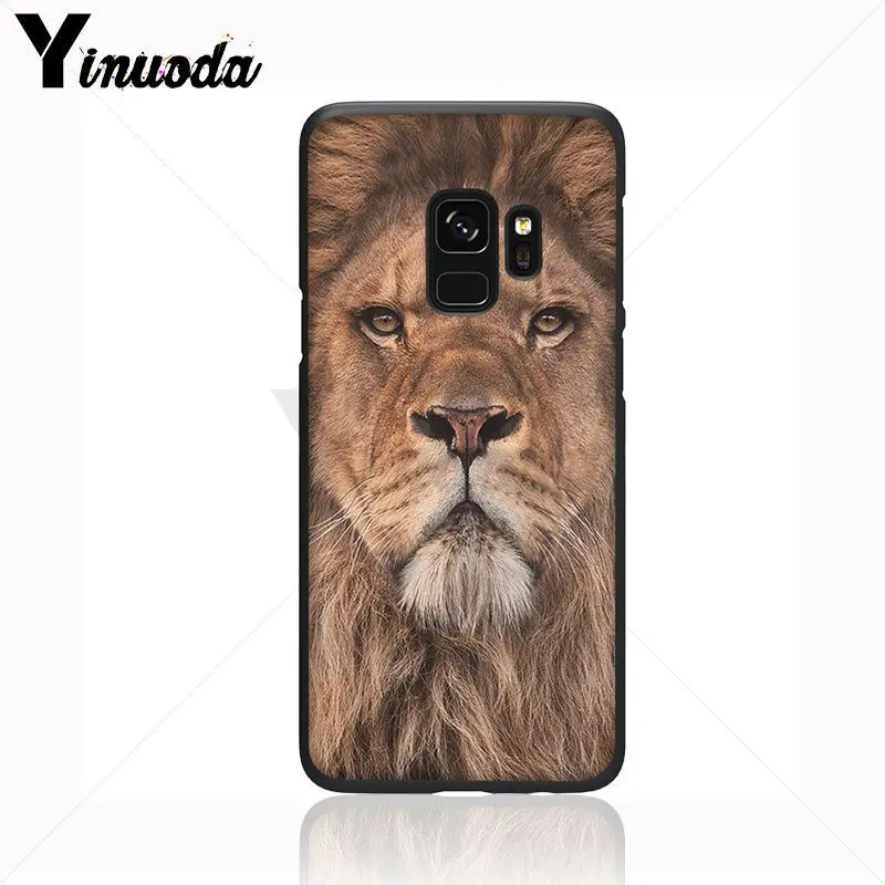 ASLAN LION THE CHRONICLES 