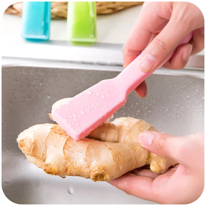 Poweful Vegetable Brush For Potato Taro Ginger Kitchen Brushin