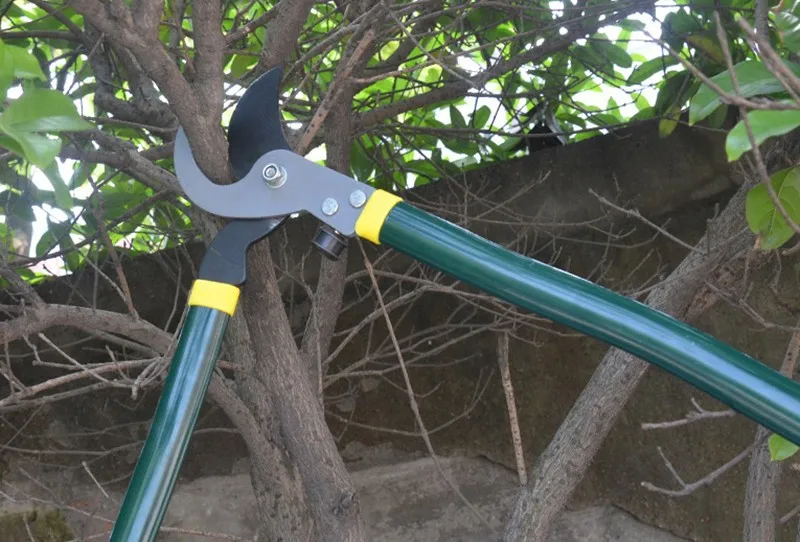 free shipping Pruning Shears Gardening Secateurs Garden Scissors Tree Branch Cutter Tesouras Sikatory Garden Tool Free Shipping