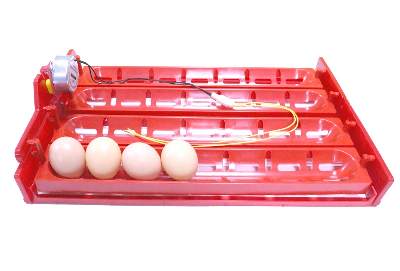 New 32-40 Eggs Incubator Incubator Accessories Turn The Eggs Tray Duck Goose Poultry Birds Motor Of 110V Or 220V Free Shipping New 32-40 Eggs Incubator Incubator Accessories Turn The Eggs Tray Duck Goose Poultry Birds Motor Of 110V Or 220V Free Shipping