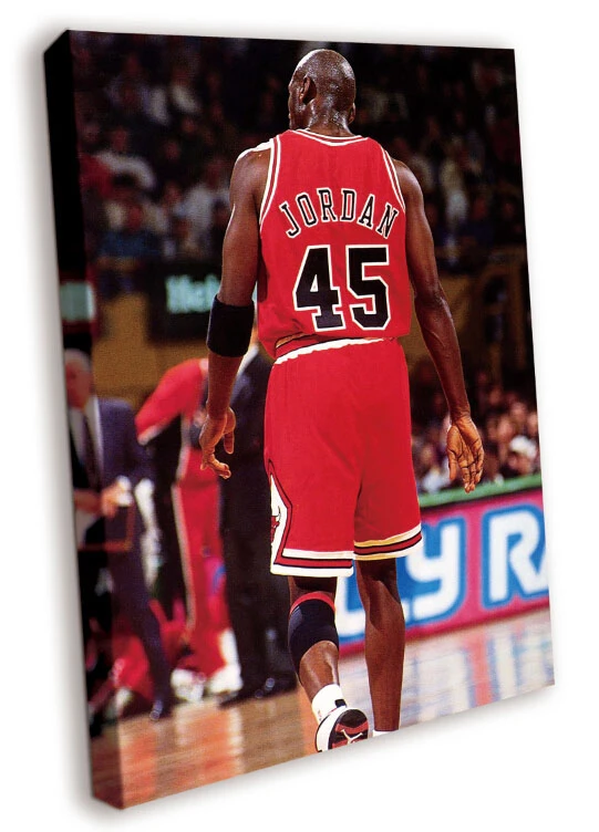 bulls 45 jersey