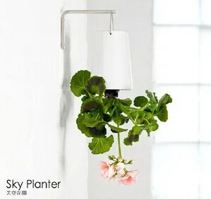 Цветы вверх ногами. Интерьерные цветы в горшках. Растения свисающие с потолка. Подвесные растения в интерьере. Плющ хедера.