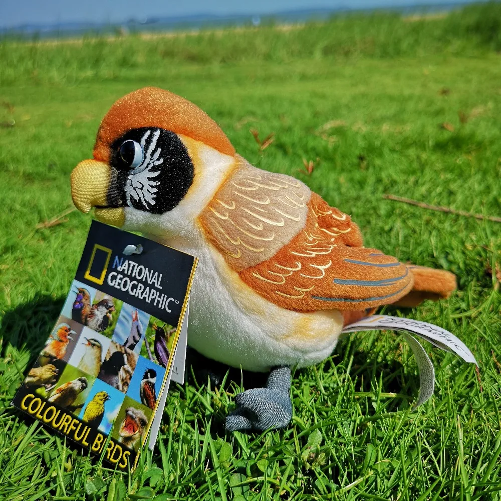 Этнический плюш 5 &quot птица Таннен meise Hall Benmeise Blue Tit Bay наживка пчелы и
