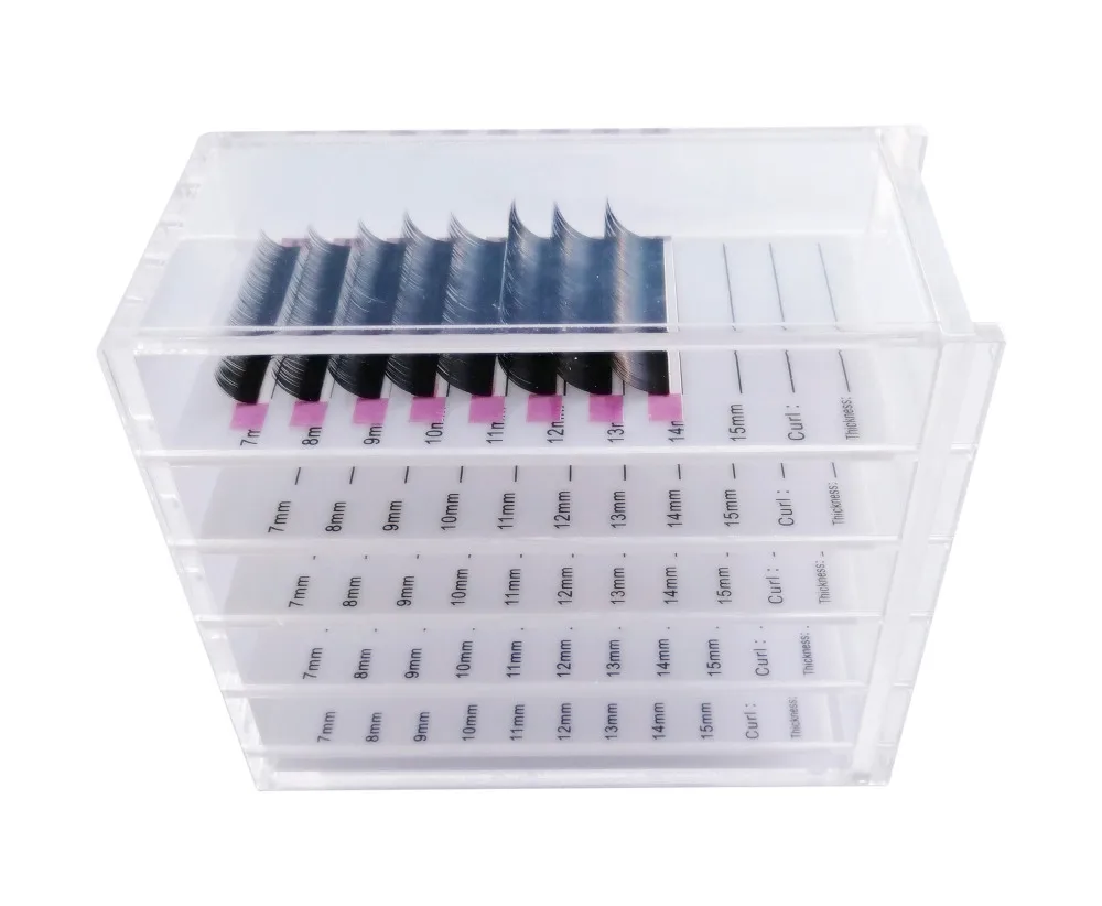 lash5fcase01 (4)