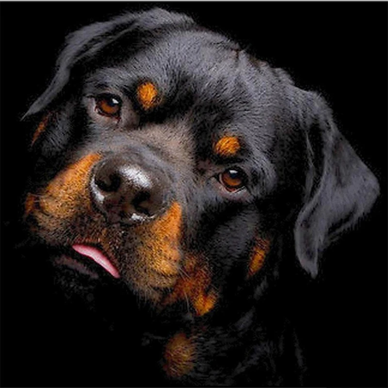 

5D Diy Diamond Painting Cross Stitch Cute Little Black Dog 3D Diamond Embroidery Full Round Mosaic Decoration Resin Sticker Kits