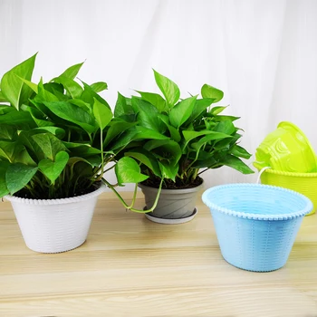 

Auto Irrigate Flower Pot Vase Automatic Watering Planter Lazy Planting Round flower pots