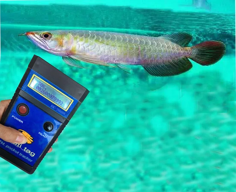 RFID рыба microchipfdx-a/FDX-B Arowana чип для сканера mircrochip считыватель рыбы