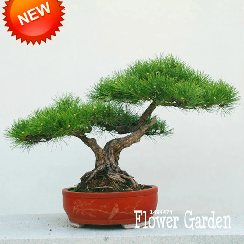 Popular Japanese OrnamentsBuy Cheap Japanese Ornaments lots from China