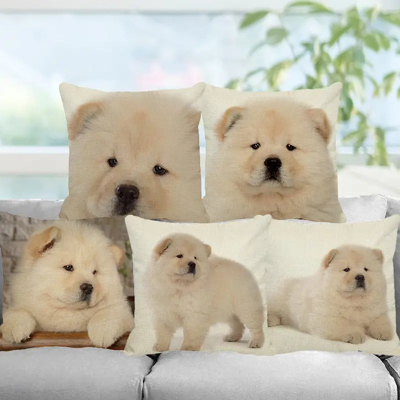 

XUNYU Cute Pet White Chow Chow Dog Cushion Cover 45*45cm Square Cushion Covers Home Decor Throw Pillowcases B0052
