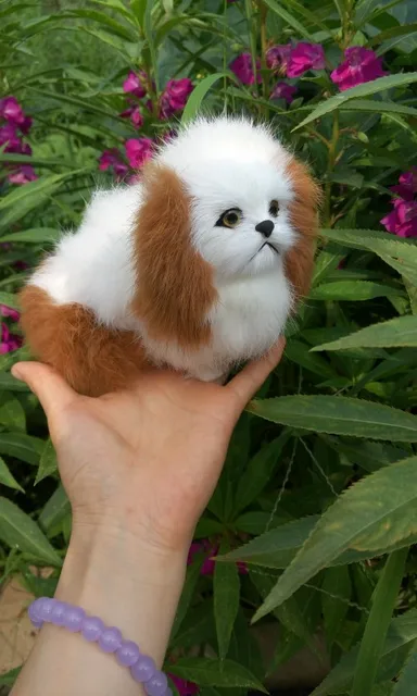 ×ª××¦××ª ×ª××× × ×¢×××¨ ×××× ×¤×¨×××