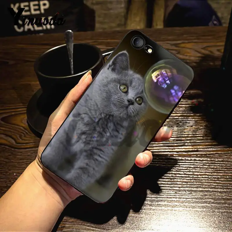 Чехол Yinuoda для iphone 7 6 X дизайнерский чехол с британской короткошерстной кошечкой