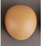 

(Do not buy this link separately)bjd 1/3 1/4 1/6 1/8 1/12 sd doll tan colour(not doll )