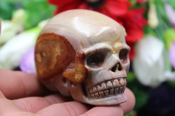 

201g rams of natural quartz crystal jade ocean fossil skull to heal A82