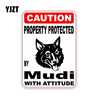 

YJZT 10*14.2CM Property protected by Mudi Dog Personality Retro-reflective Car Sticker Decals C1-4436