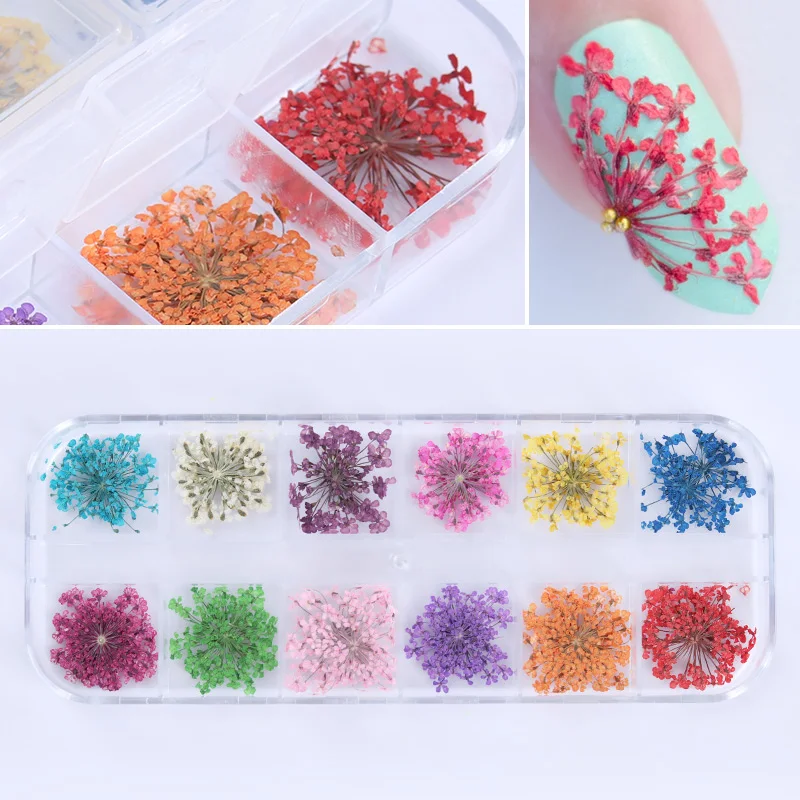 1 Box AB Color Nail Art Rhinestone Gold Silver Clear Flat Bottom Multi-size Dried Flowers Manicure DIY Nail Art 3D Decoration