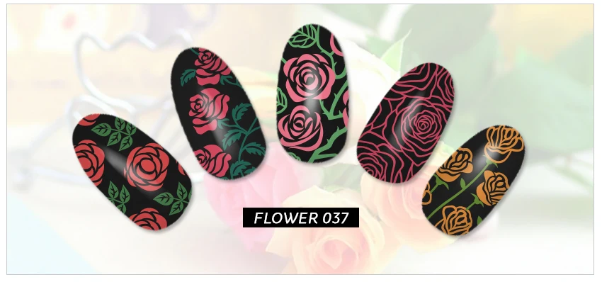 KADS-FLOWER-037_07