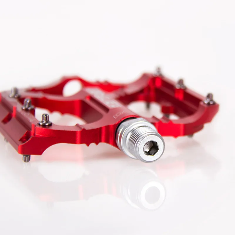 9116481668_419059900