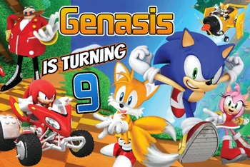 

Custom Game Sonic Party Banner backdrops High quality Computer print birthday photo studio background