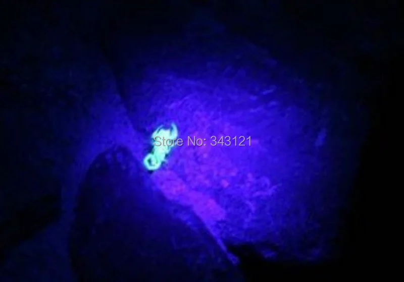 501B UV Light flashlights 7 8 (4).jpg