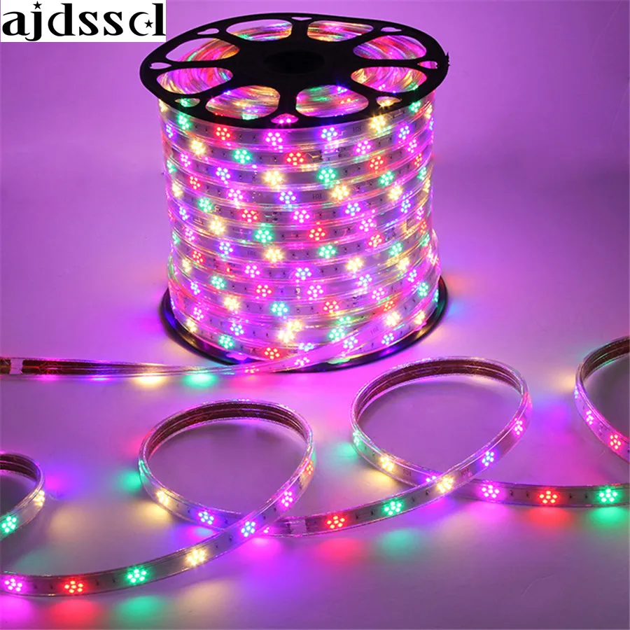 LED flowercolorful light IP67waterproof AC220V 2835 led strip light with  Controller 8 Modes 120LEDs/M Outdoor Garden decoration