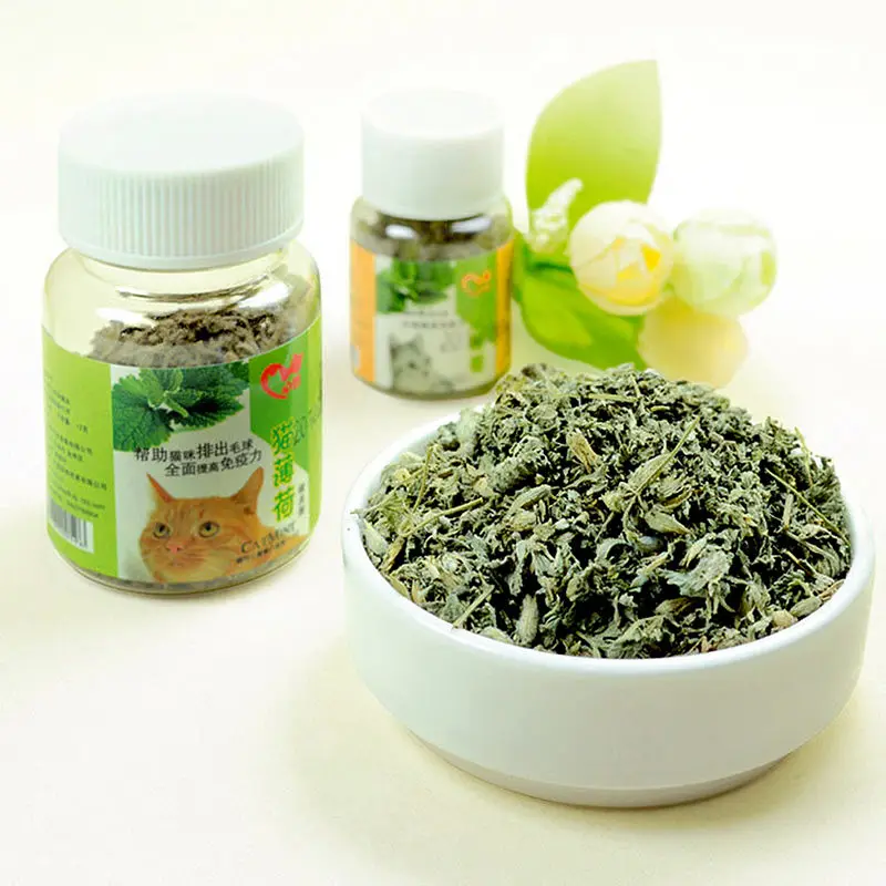 Cat Dry Food Fresh Organic Dried Catnip Nepeta cataria Leaf Flower Herb