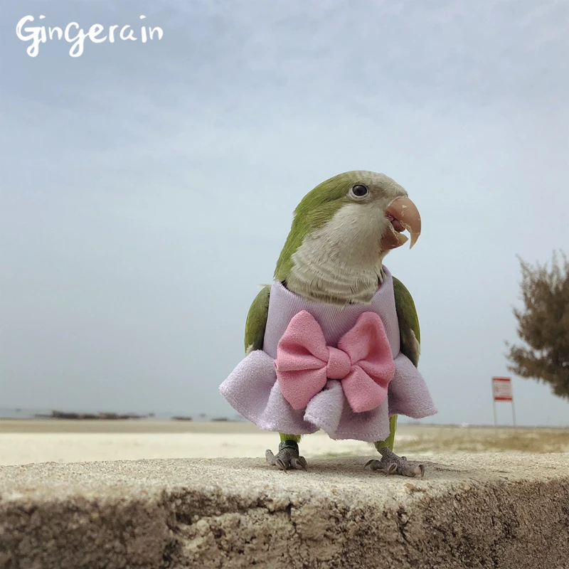 Одежда с птицами Gingerain одежда попугаями капюшоном оригинальная ручная работа