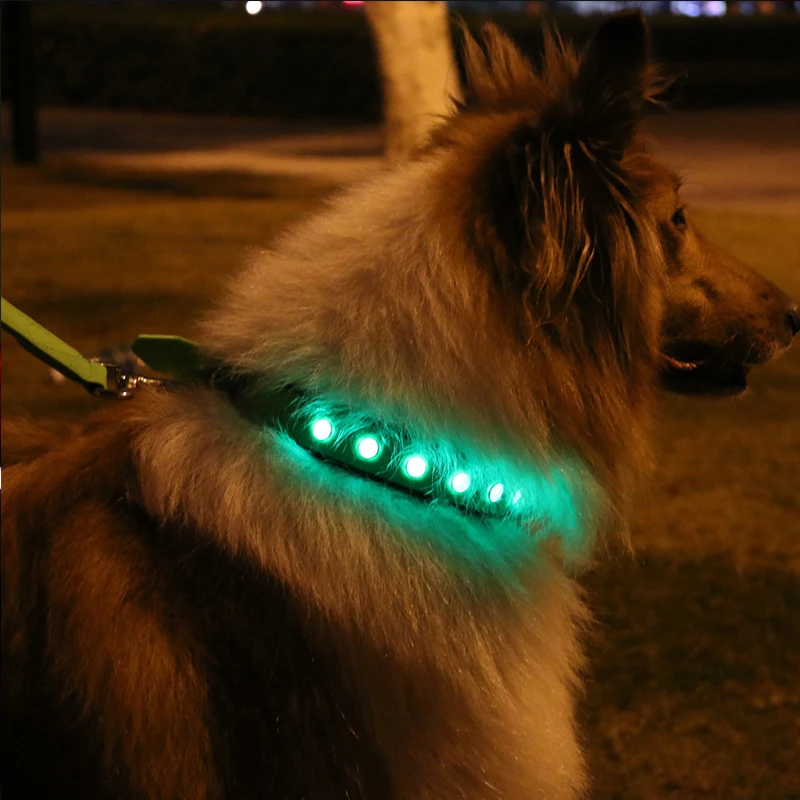 

NIMBLE LED Pet Dog Collar Safety Flashing PVC Collar For Small Large Waterproof Dogs Collar Training Adjustable For Pet Product