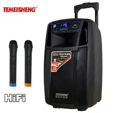 Temeisheng SL08 высокое Мощность Портативный громкоговоритель Bluetooth Динамик Поддержка Wirelss микрофон открытый аудио динамик MP3-плеер