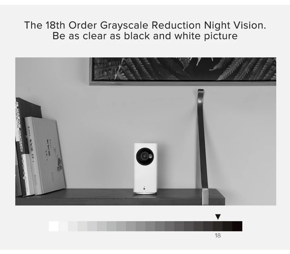 Original Xiaomi Mijia IP Camera Dafang Smart Monitor 110 Degree 1080p HD Intelligent Security WIFI Night Vision For Mi Home App (5)