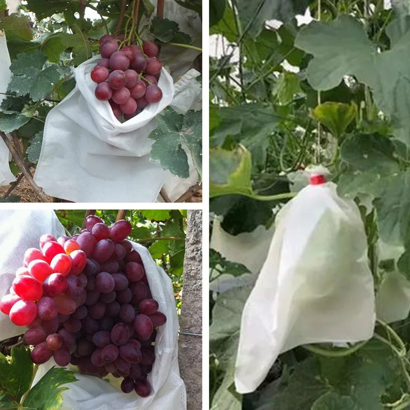 

100pcs Fruit Protection Bag Anti Bird Non-woven Bag Reusable Grow Bag Mesh Bag Pouch for Grape Apple Fruit Vegetables