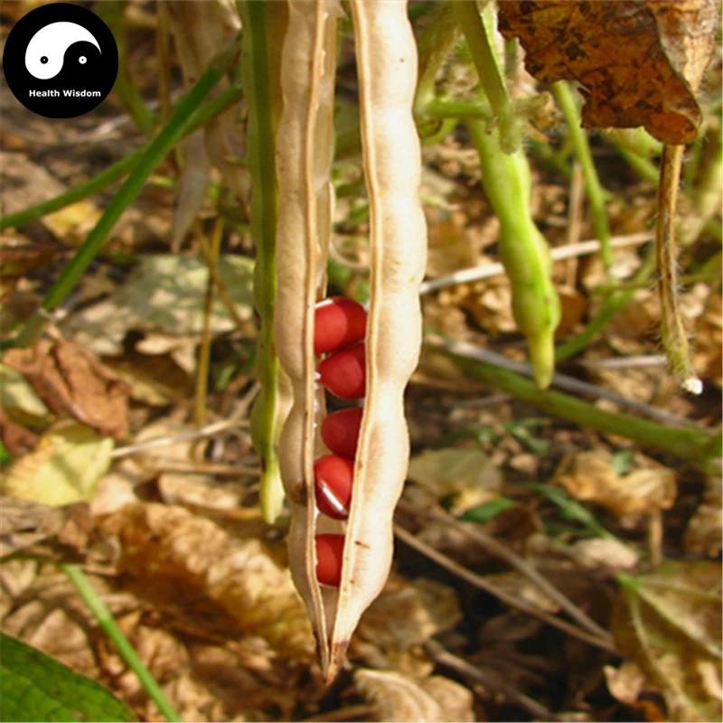 

Buy Red Adzuki Bean Vegetable Semente 150pcs Plant Chinese Bean Vigna Angularis