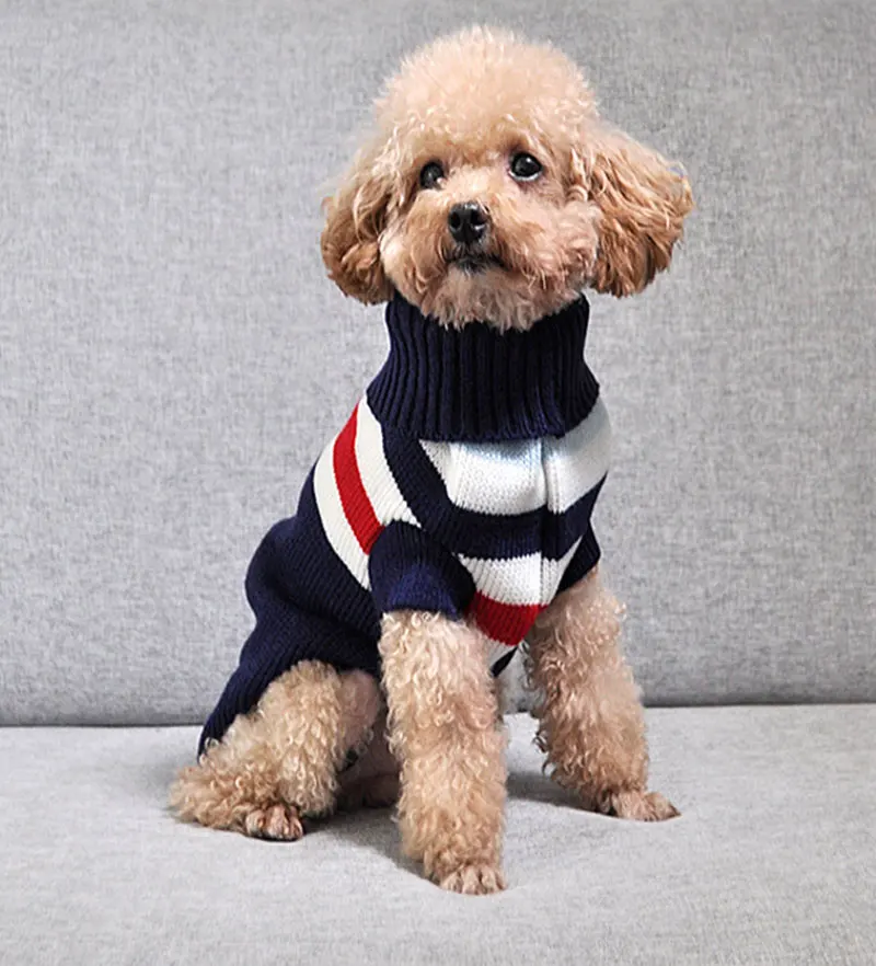 dog jacket medium