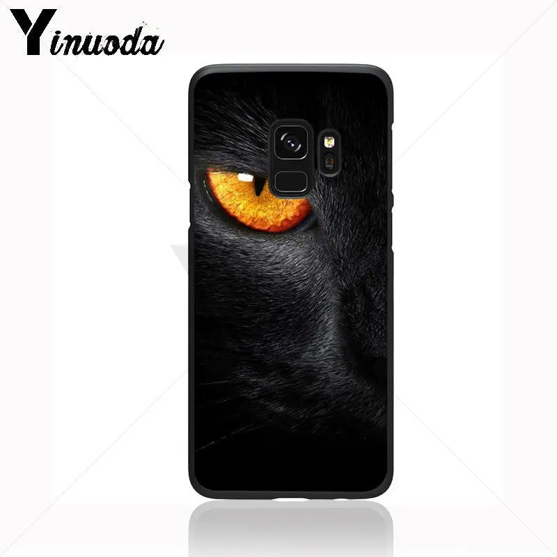 Black Cat Staring Eye