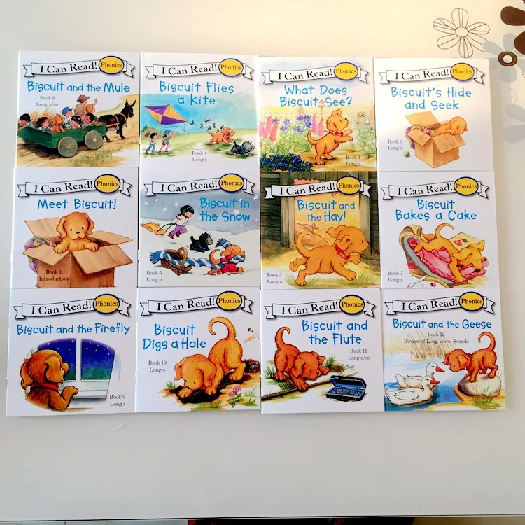 

More Phonics Fun Books in English Children's Early Education Book 12pcs/set