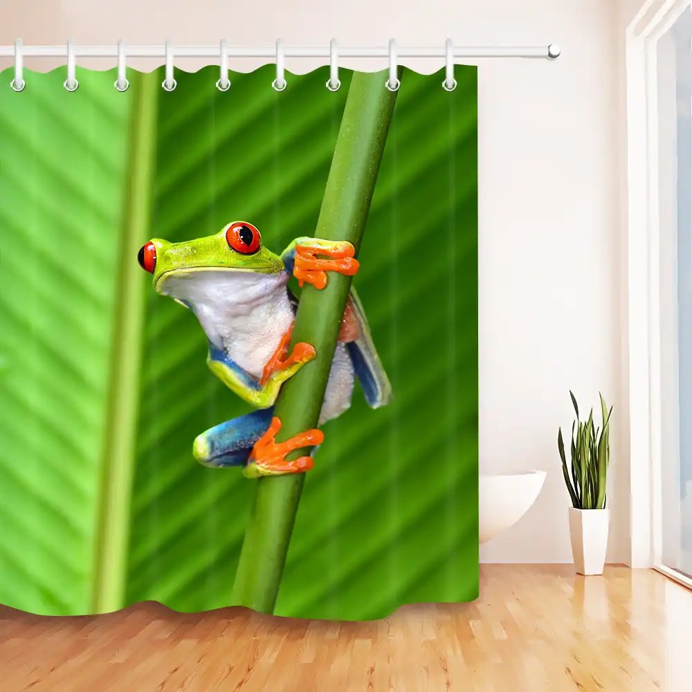 Lb 180 180 Cartoon Red Eyed Green Tree Frog Shower Curtain