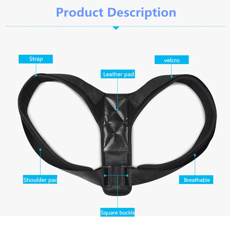 4221920913_1866522201__