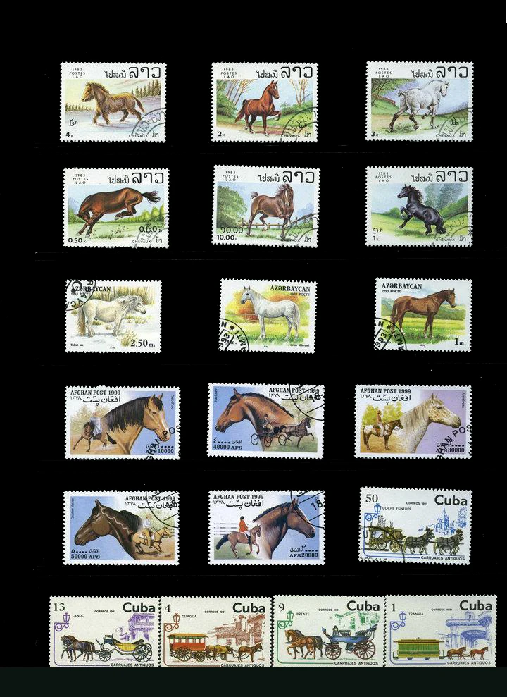 

50 PCS/lot Animal Topic Horse From The World Wide With Post Mark Postage Stamps Collecting