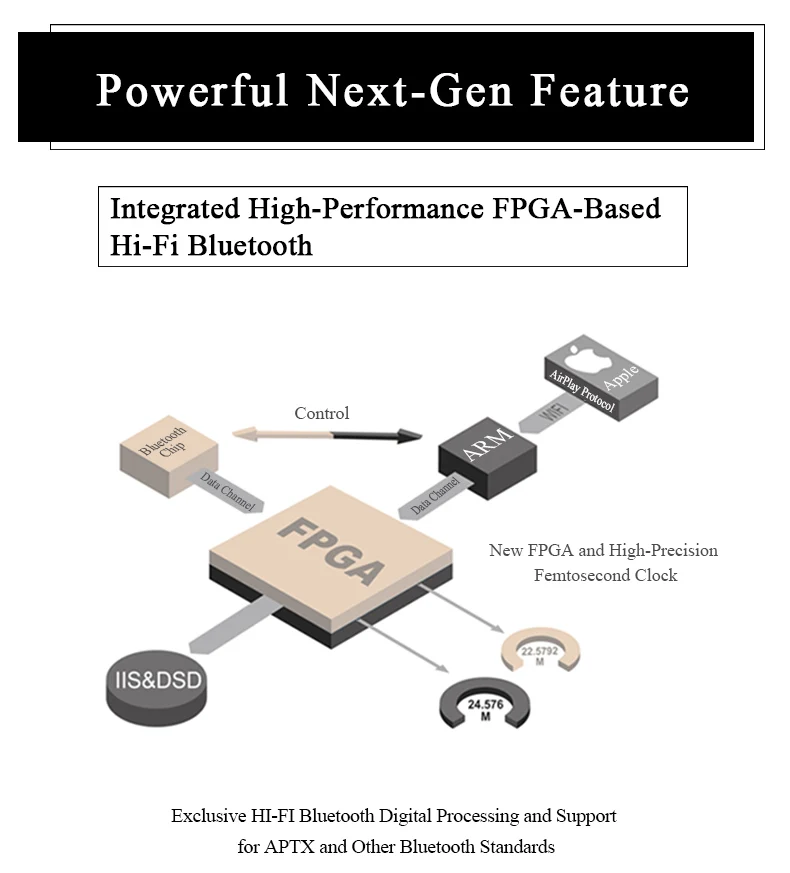 Soundaware D300 Профессиональная сеть PCM& DSD цифровой транспорт полное обновление D100 Pro Femto Hifi музыкальный плеер