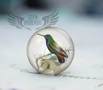 

12-40mm New Fashion Hummingbird Handmade Photo Glass Cabochons bird
