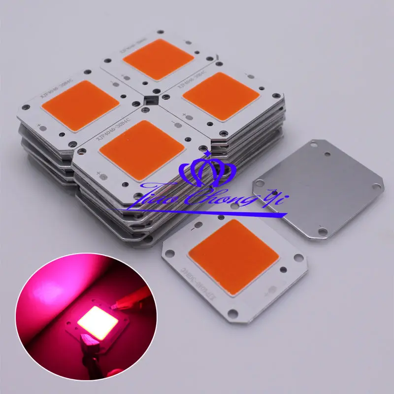 Dc12v 50w Cob Led Full Spectrum 400-840nm High Powe Grow Light Led Panel Lights - AliExpress