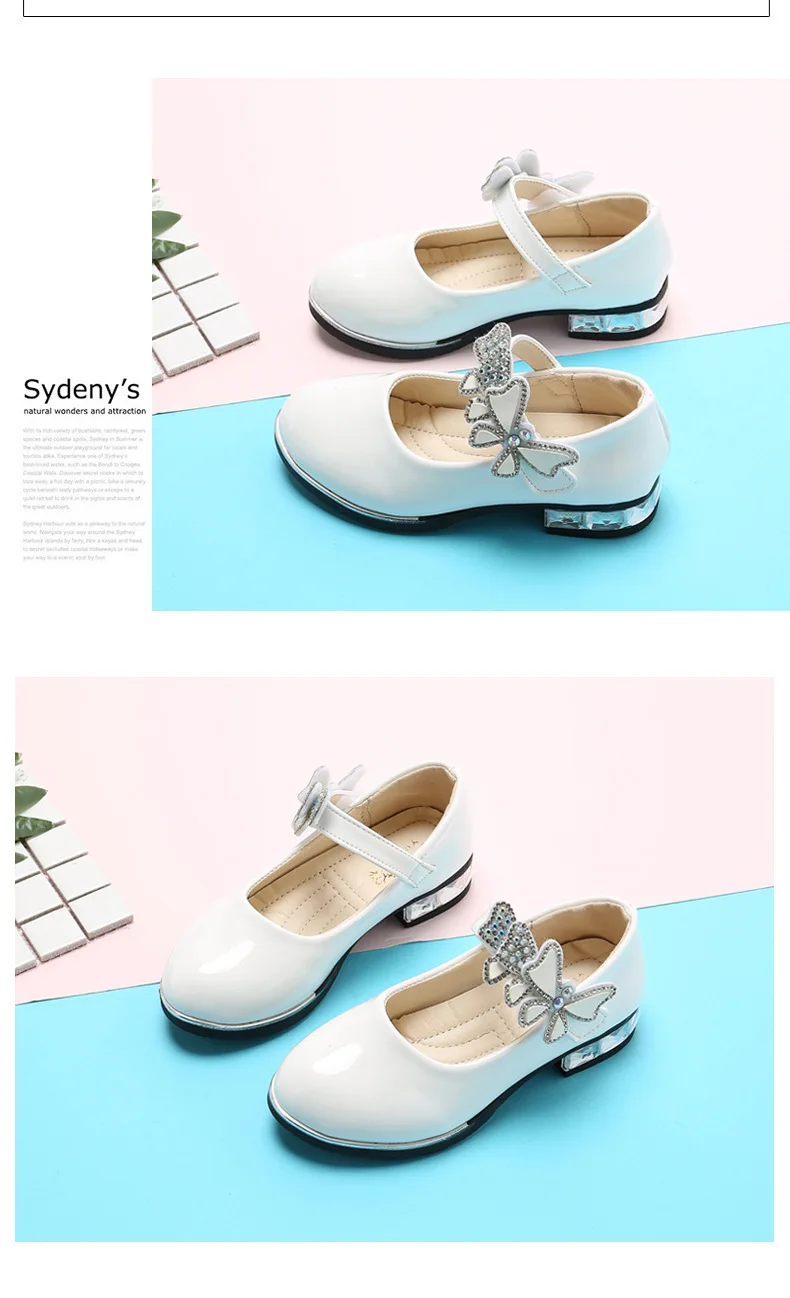 10369174169_84206977