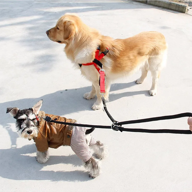 two way leash