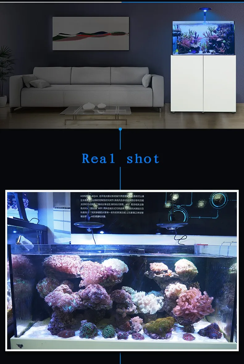 14_conew1