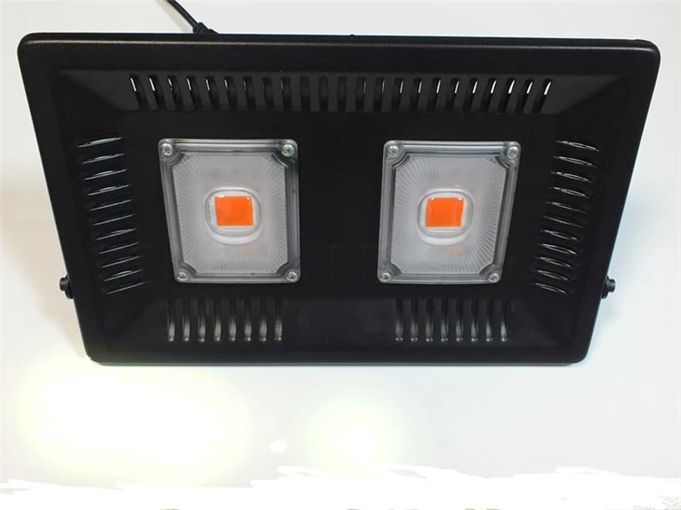 8613464797_1268098022