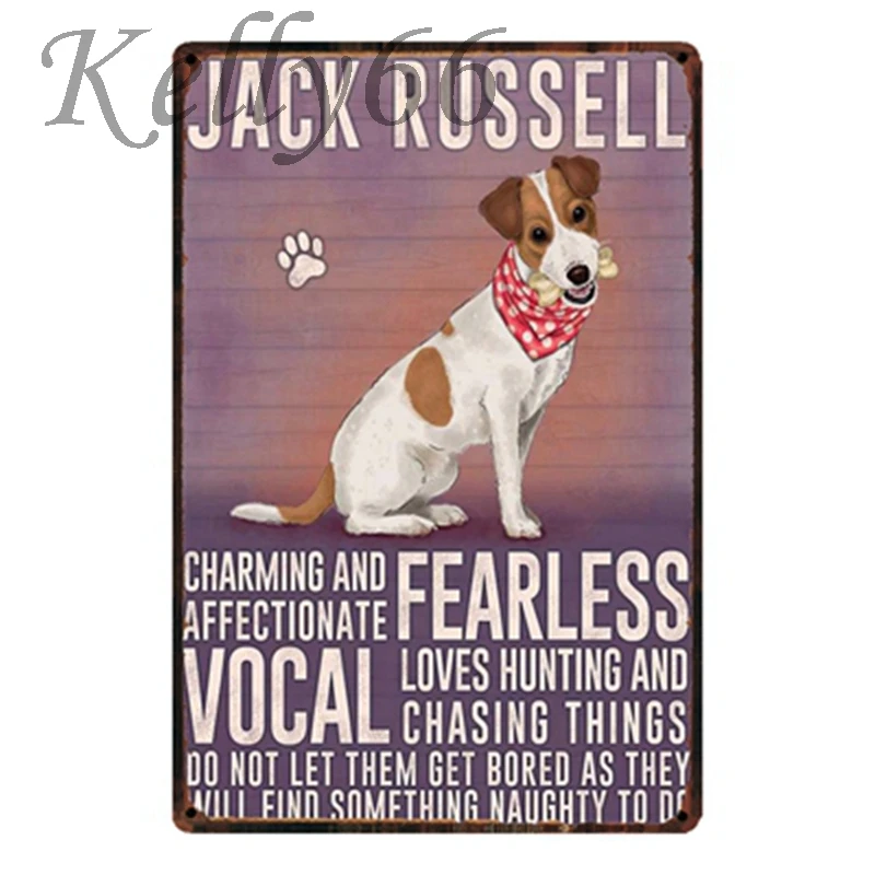 Metal Sign Tin Jack Russell Metal Sign Jack Russel Jack Russell