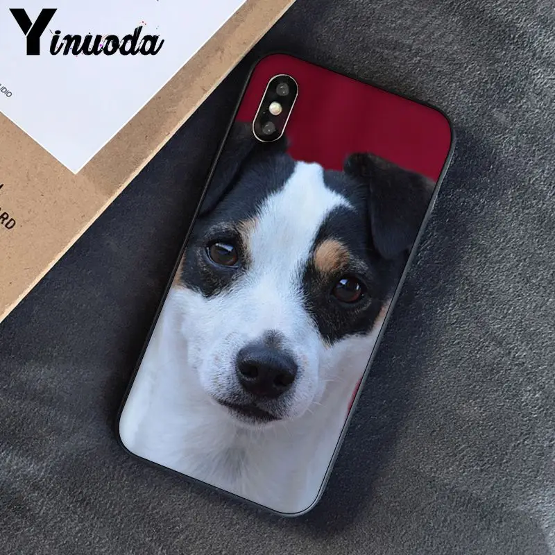 Yinuoda Джек Рассел терьер собака чехол для телефона iphone SE 2020 8 7 6 6S 6plus X XS MAX 5 5S XR 10