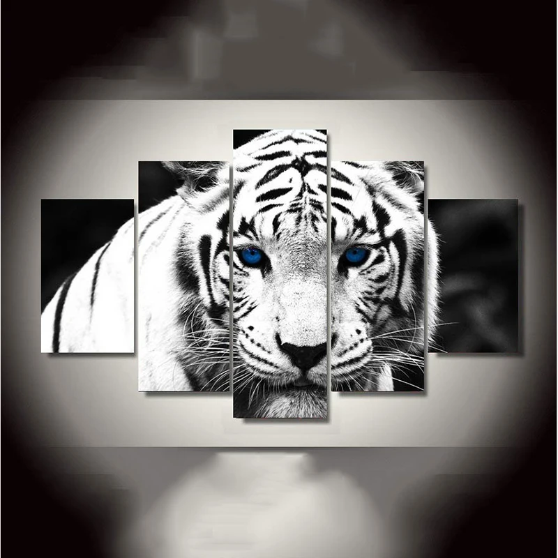 Download 640 Koleksi Gambar Hd Harimau Putih Terbaik HD