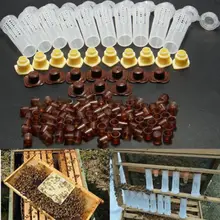 100 шт Пластиковый вывод маток системы культивирования коробки клетки чашки ловушка для пчел клетка оборудование для пчеловодства
