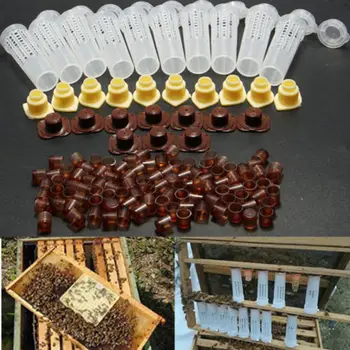 

100pcs/Set Bees Tools Cages Beekeeping Rearing CupKit Queen Bee Hair Roller Cages Cell Cups &Cell Fixtures Beekeepers Equipment