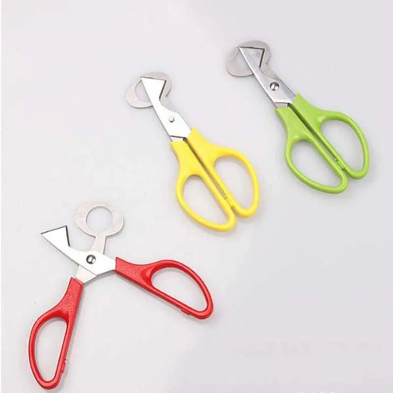 10PCS/Lot Quail Scissors Egg Cutter Eggs Opener Quail eggs scissors